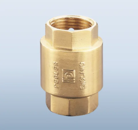 Spring Action Check Valve